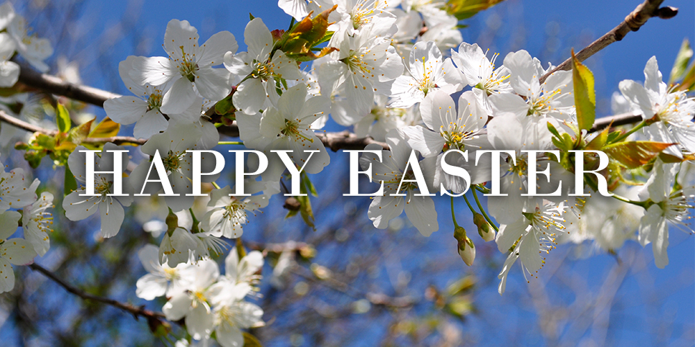 Happy Easter in front of white flowers.